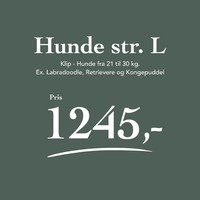 Hunde 21 - 30 kg